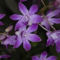  DSC4985