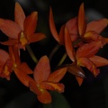  DSC4999