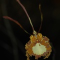  DSC5025