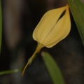  DSC5028
