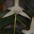  DSC5034