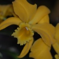  DSC5035